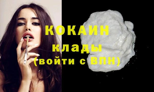 тгк Алзамай