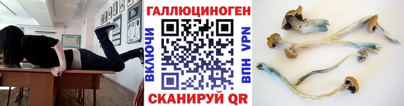 Галлюциногенные грибы мухоморы  купить наркоту  Брянск 