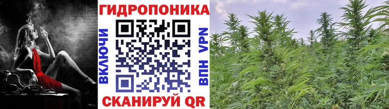 купить наркоту  гидра вход  Бошки Шишки Bruce Banner  Брянск 